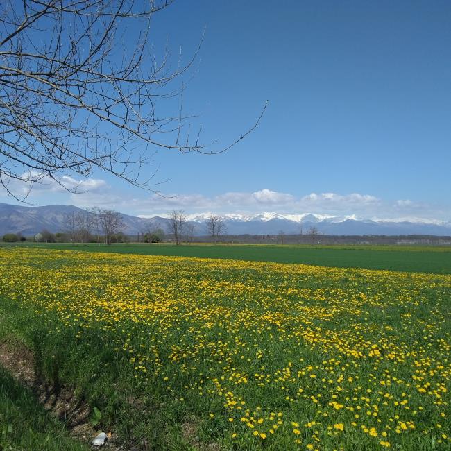 Riflessioni per il nuovo decennio 4