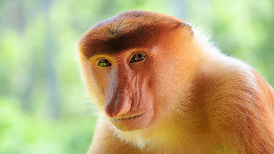 Cosa farai nella seconda parte della tua vita? 