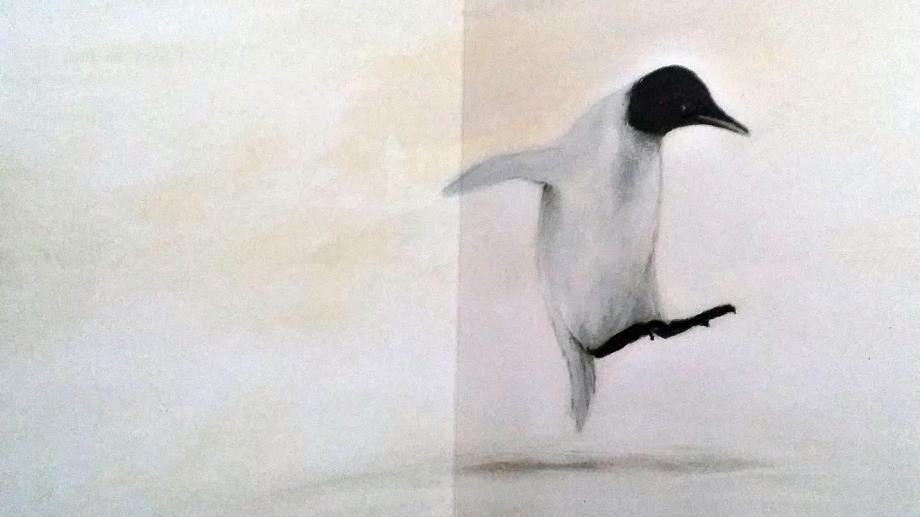 Empatia "dentro la sofferenza o i sentimenti"
